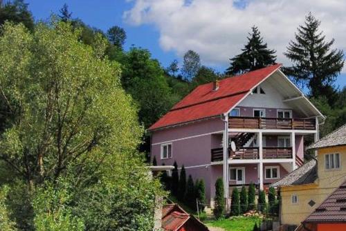 a large pink house with a red roof at Casa Daiana in Borsa