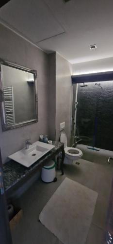 a bathroom with a sink and a toilet and a mirror at Lake House by NIVO in Pavlovci
