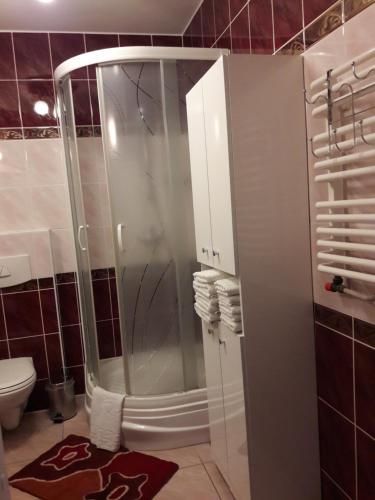 a shower with a glass door in a bathroom at Apartament z Widokiem na Morze w Kołobrzegu in Kołobrzeg