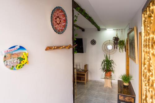 an open door into a room with plants on the walls at Casa Asia in Granada