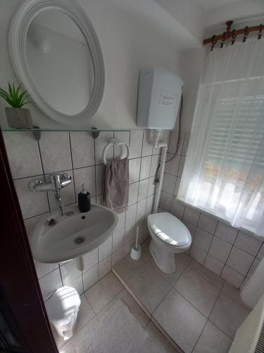 a bathroom with a sink and a toilet and a mirror at Apartman Ris Gorski Kotar Crni Lug in Delnice