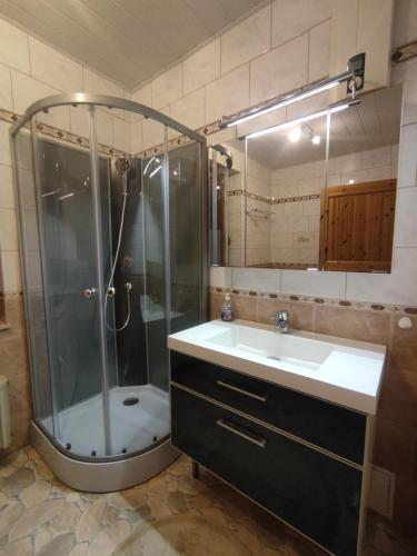 a bathroom with a shower and a sink at Ferienhaus Königreich - Dreistegen in Monschau