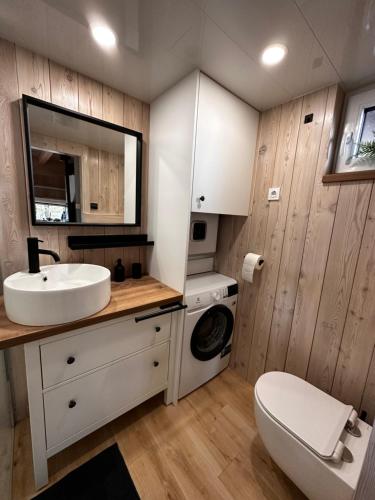y baño con lavabo y lavadora. en Romantic cabin with hot/cold tub and finnish sauna en Šentvid pri Stični