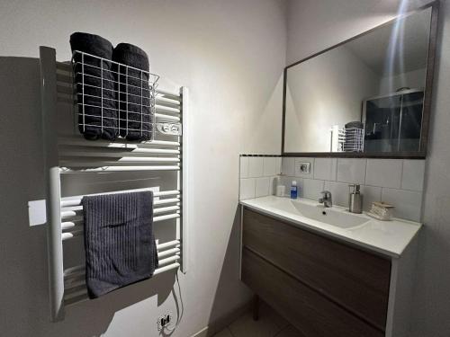 bagno con lavandino e specchio di Le Mirror- hyper centre ville a Sens