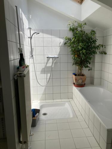 La salle de bains est pourvue de carrelage blanc, d'une douche et d'une plante. dans l'établissement Le8bis, à Saint-Denis