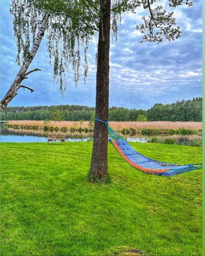 a hammock tied to a tree next to a lake at Miško kraštas in Vileikiai