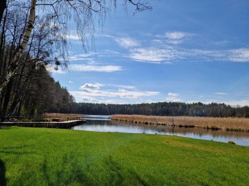 a view of a lake with a dock and green grass at Miško kraštas in Vileikiai