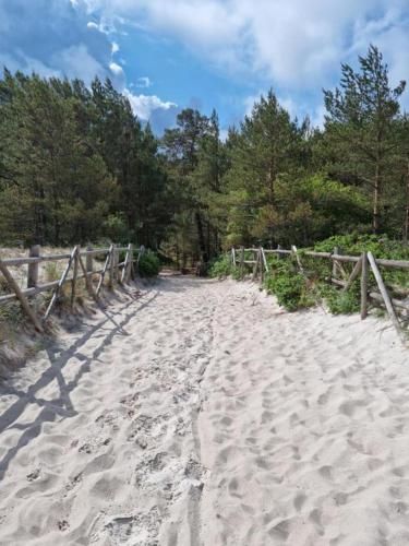 a dirt road with a wooden fence and trees at Pod Cisem in Kierzkowo