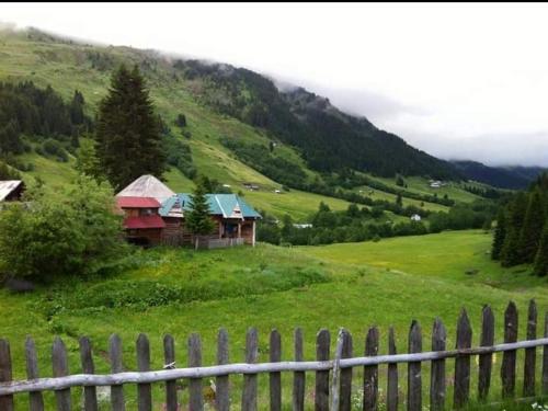 a house on top of a green hill with a fence at Isov Ranch in Plav