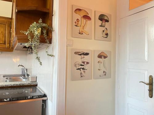 a kitchen with drawings of mushrooms on the wall at Casa dos Frades in Vinhais