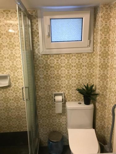 パレオ・ティフリキにあるSofy's Houseのバスルーム(窓、鉢植えの植物付きトイレ付)