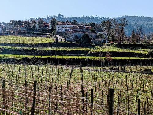 a field with a fence in front of a house at Quinta da Lage Agroturismo e Enoturismo in Celorico de Basto