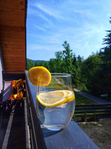 a glass of water with a lemon slice in it at Zaciszny Zakątek Zawoja in Zawoja