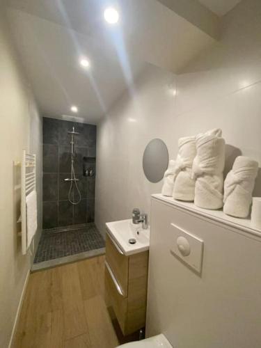 une salle de bain avec une douche, des toilettes et un lavabo dans l'établissement Appartement T2 spacieux et équipé, à Mions