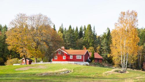 a red house on top of a hill with trees at Grandma's cottage in Tanum