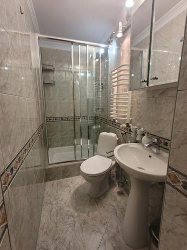 a bathroom with a toilet and a shower and a sink at Willa Świerk - Panorama Tatr in Zakopane