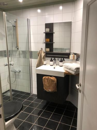 y baño con lavabo y ducha. en Bedroom, livingroom and separate bathroom, en Fredrikstad
