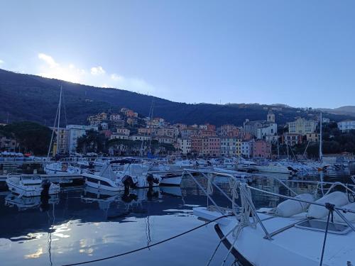 um monte de barcos ancorados numa marina com uma cidade em vista mare em Portovenere