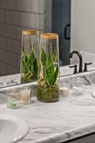 two glass vases with plants in them on a bathroom counter at ATV Trailer Parking/NEW/5 min to Natural Bridge in Campton