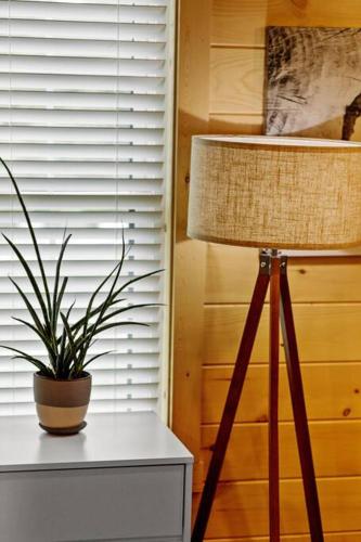 a lamp and a plant on a table next to a window at ATV Trailer Parking/NEW/5 min to Natural Bridge in Campton