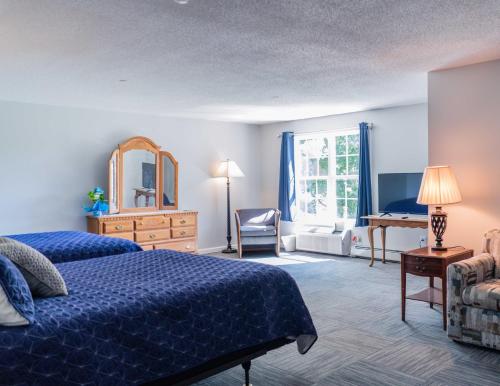 a bedroom with a blue bed and a mirror at Allen Lake Resort Richfield Springs Cooperstown in Richfield Springs