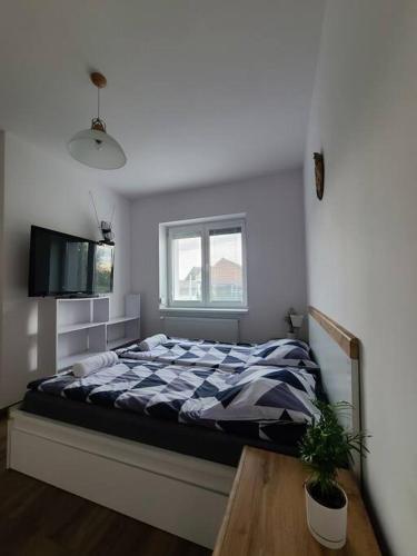 a bedroom with a bed and a potted plant at Domek Bocianie Gniazdo in Stradomka
