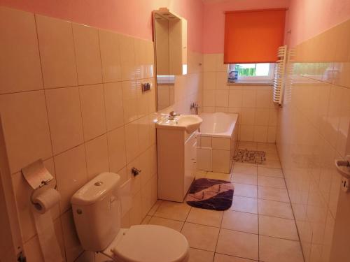 uma casa de banho com um WC e um lavatório em Pokoje Goscinne Buzuki em Ciechanów