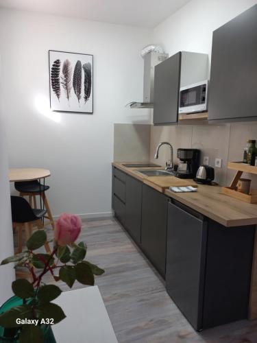 eine Küche mit einer Spüle und einer Arbeitsplatte in der Unterkunft Rhône Studio (Drôme/Ardèche) in Viviers