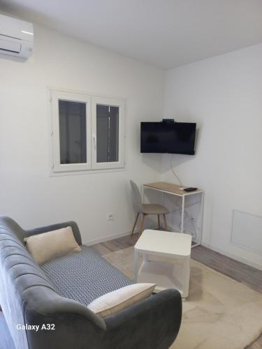 TV a/nebo společenská místnost v ubytování Rhône Studio avec terrace parking privé