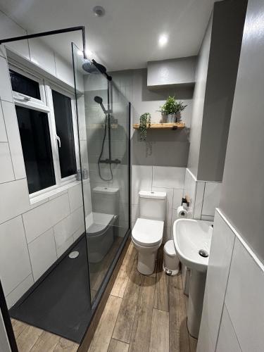 a bathroom with a shower and a toilet and a sink at Sanctuary-by-Sea in Worthing