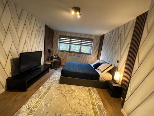 Schlafzimmer mit einem Bett und einem Flachbild-TV in der Unterkunft Lou&Hans in Aalst