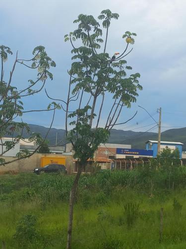 Landskap semula jadi dekat dengan chalet