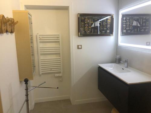 een badkamer met een wastafel en een spiegel bij Les rives de Port Neuf in Saint-André-de-Cubzac