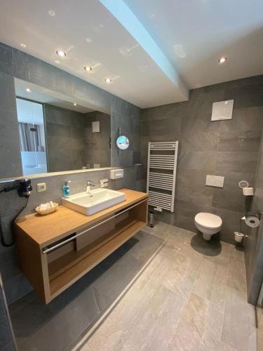 a bathroom with a sink and a toilet at Zirben Luxus Apartments mit SPA und Pool direkt in Kappl in Landeck