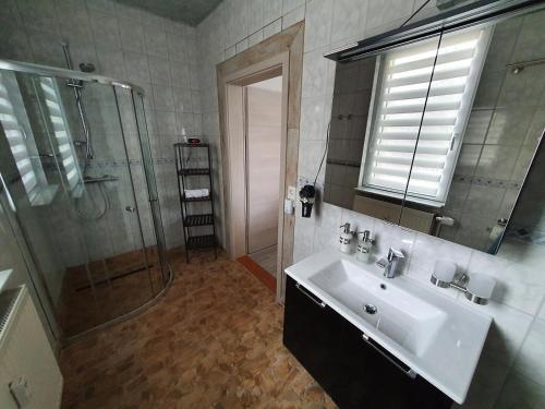 bagno con lavandino e doccia di Wohlfuehl Wohnung mit Sternekomfort in Tanne a Tanne