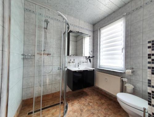 ein Bad mit einer Dusche, einem Waschbecken und einem WC in der Unterkunft Wohlfuehl-Wohnung mit Sternekomfort und Balkon in Tanne in Tanne