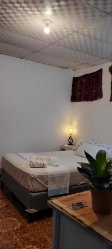 SomotoにあるHostal Somotepekのベッドルーム1室(ベッド2台、植物のあるテーブル付)