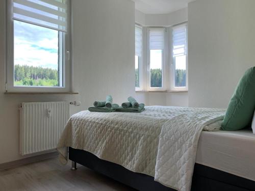 a white bedroom with a bed with two windows at FaFeWo Ferienhaus mit Sternekomfort in Tanne