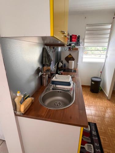 eine Küchentheke mit Spüle in der Küche in der Unterkunft Studio Roselande in Baillif