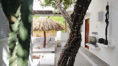 een woonkamer met een boom en een bank bij Rincón del mar Hotel Boutique los Veleros in San Onofre