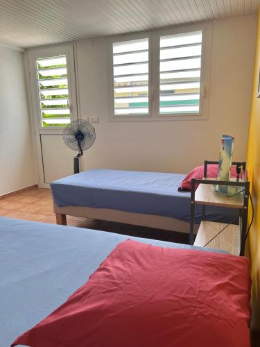 a bedroom with two beds and a fan and two windows at La Yole - appartement in Bois-Neuf