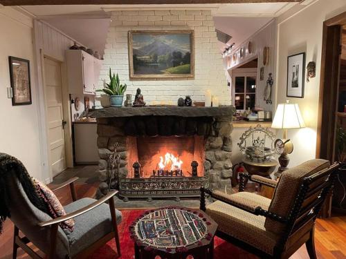 a living room with a fireplace in a living room at Enchanted Woodstock Cottage with hot tub in West Hurley