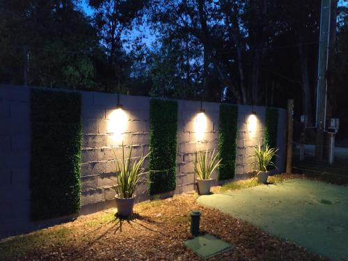 una cerca con plantas y luces en ella por la noche en FOGON Y MATES, en Maldonado