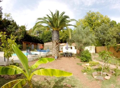 a palm tree in the middle of a yard at Hotes'Octon in Octon