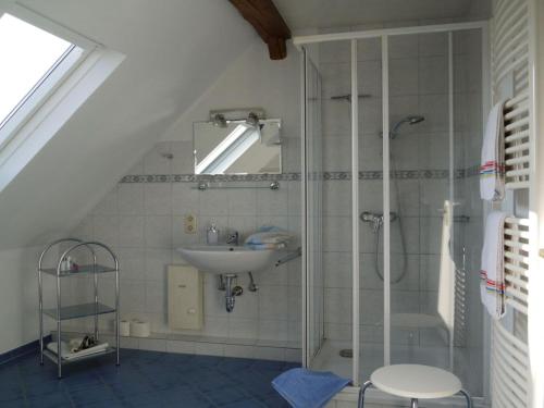 y baño con ducha y lavamanos. en Holiday apartment Haus-Stumm, en Starkenburg