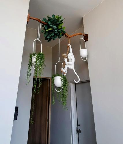 a room with potted plants hanging from the ceiling at Gorgeous Bucerias Penthouse TAYAU in Bucerías