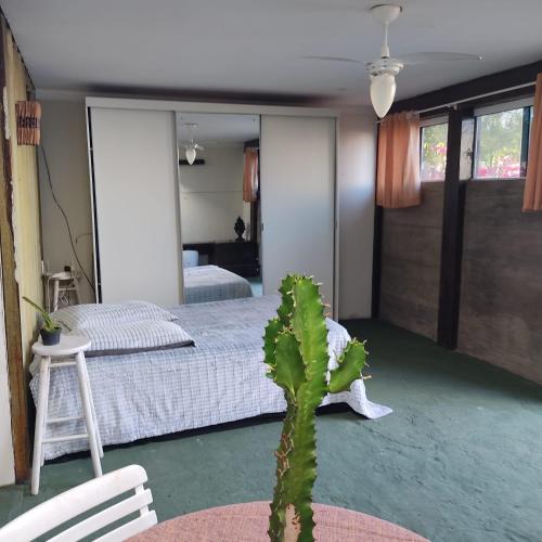 een slaapkamer met een bed en een cactus bij The Box in Passo de Torres