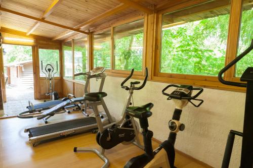 two exercise bikes in a gym with windows at Hotel Ricordo Du Parc in Tabiano