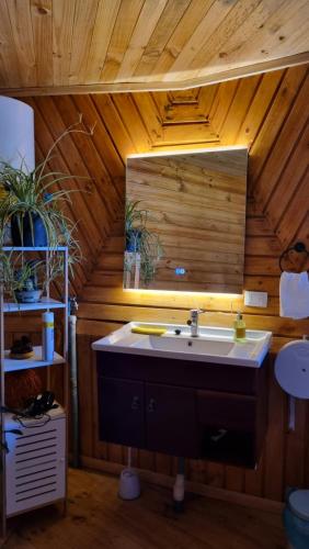 a bathroom with a sink and a mirror in a room at ANGEL DOMO in Puerto Montt