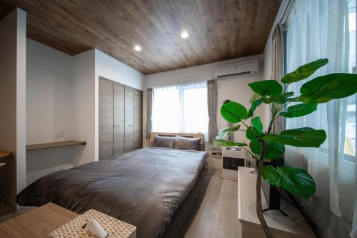 a bedroom with a bed and a plant in it at ASCEND【2min from Asahikawa sta】 in Asahikawa